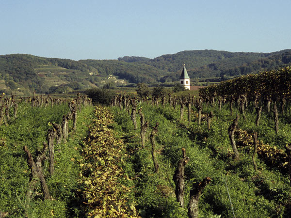 Kaiserstuhl